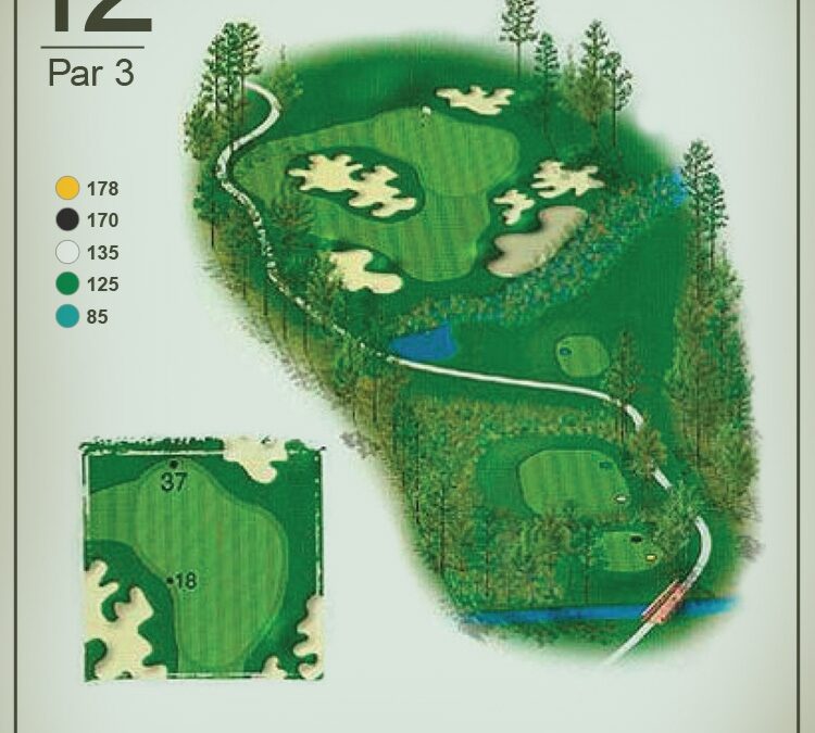Playing the tough par 3 12th Hole